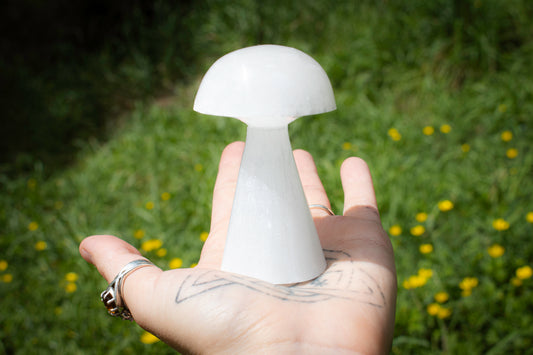 Selenite Mushroom